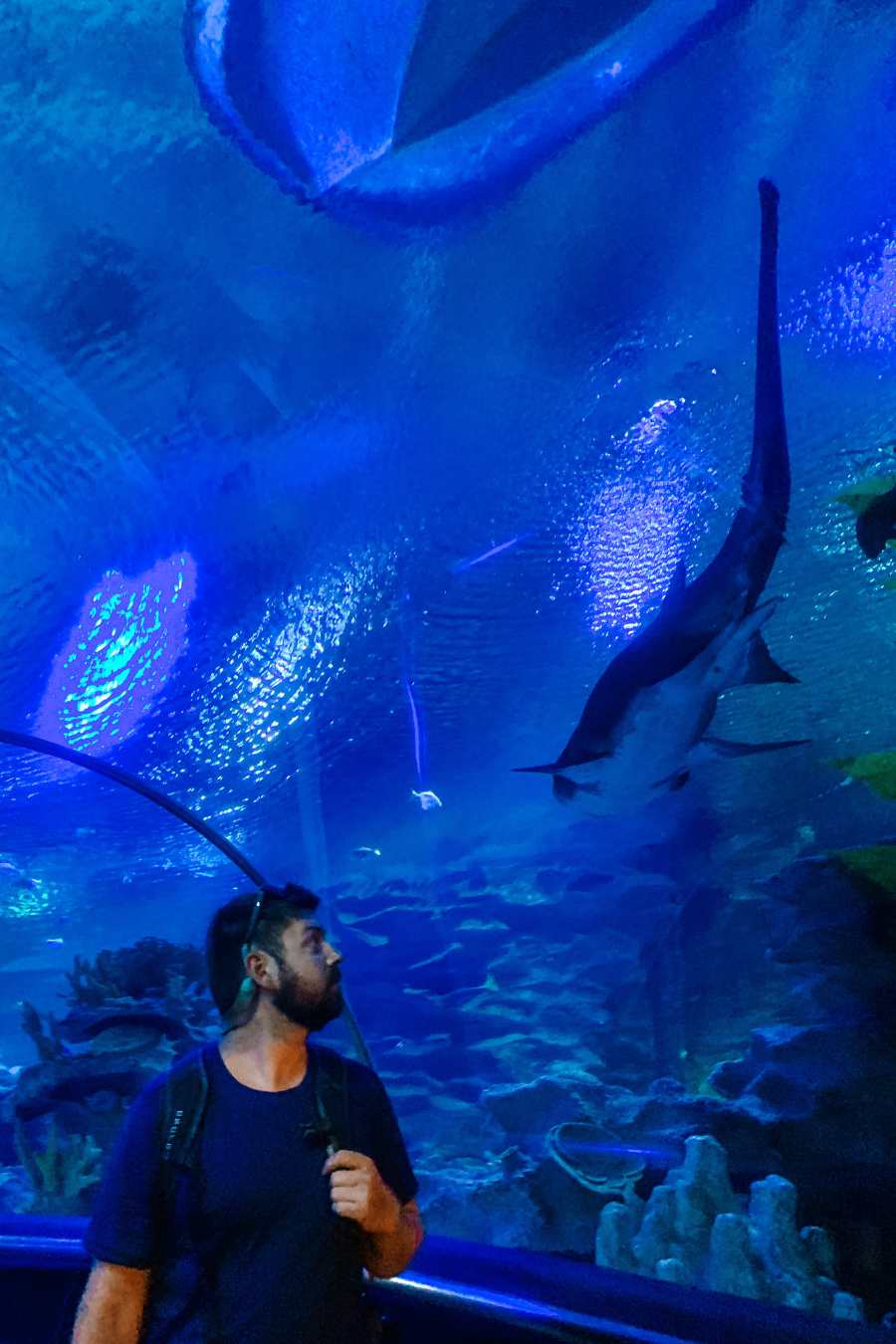 Aquarium in Kuala Lumpur