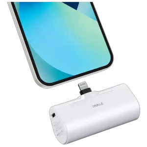 iWalk Portable Charger